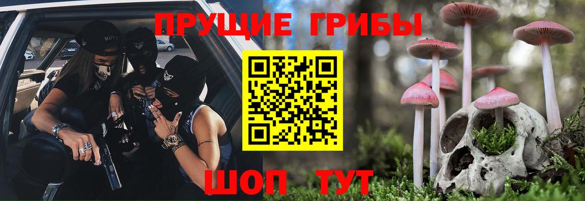 Галлюциногенные грибы Psilocybe  Вход с VPN  Алексин 